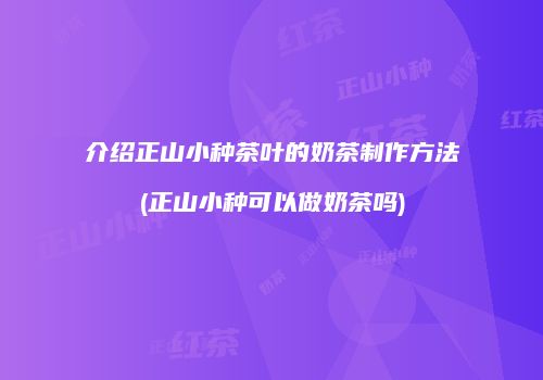 介绍正山小种茶叶的奶茶制作方法(正山小种可以做奶茶吗)