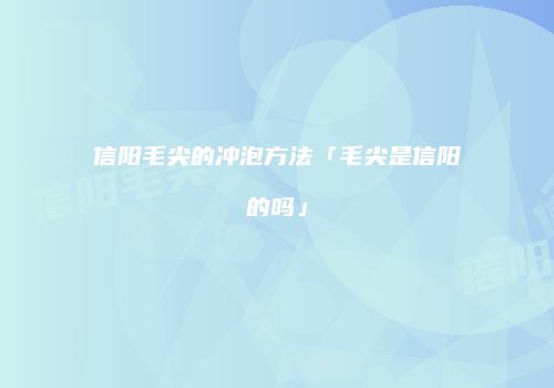 信阳毛尖的冲泡方法「毛尖是信阳的吗」