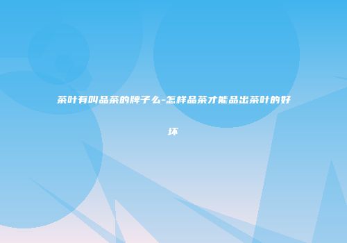 茶叶有叫品茶的牌子么-怎样品茶才能品出茶叶的好坏