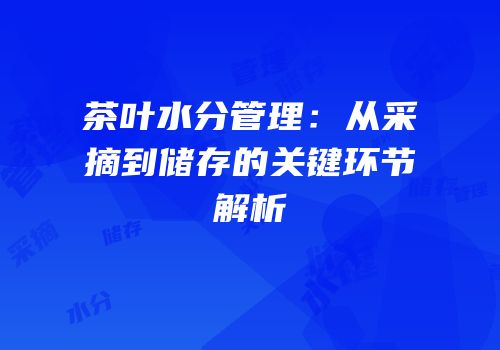 茶叶水分管理：从采摘到储存的关键环节解析