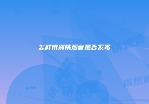 怎样辨别铁观音是否发霉