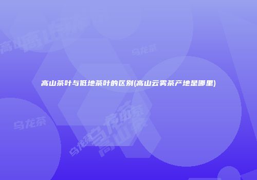 高山茶叶与低地茶叶的区别(高山云雾茶产地是哪里)