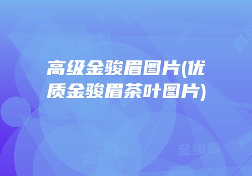 高级金骏眉图片(优质金骏眉茶叶图片)