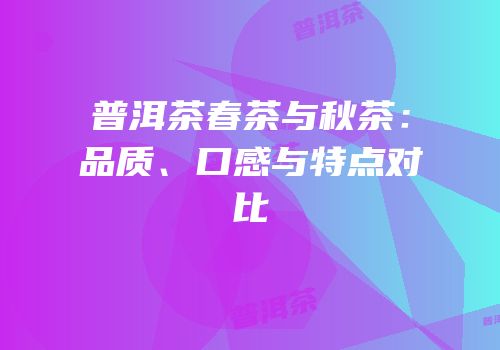 普洱茶春茶与秋茶：品质、口感与特点对比