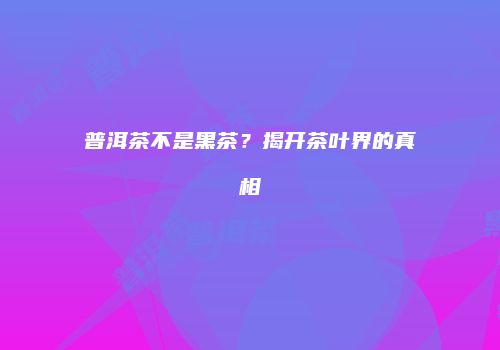 普洱茶不是黑茶？揭开茶叶界的真相