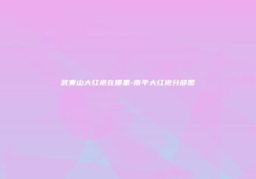 武夷山大红袍在哪里-南平大红袍分部图