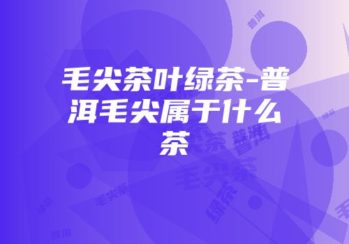 毛尖茶叶绿茶-普洱毛尖属于什么茶