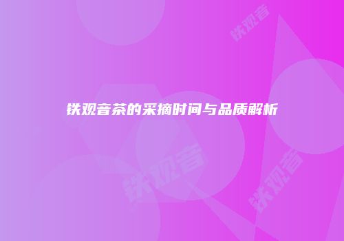 铁观音茶的采摘时间与品质解析