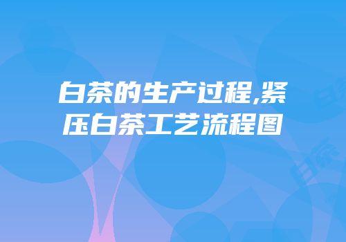 白茶的生产过程,紧压白茶工艺流程图
