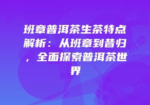 班章普洱茶生茶特点解析：从班章到昔归，全面探索普洱茶世界