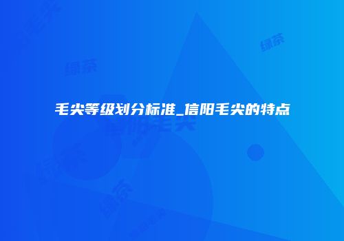 毛尖等级划分标准_信阳毛尖的特点