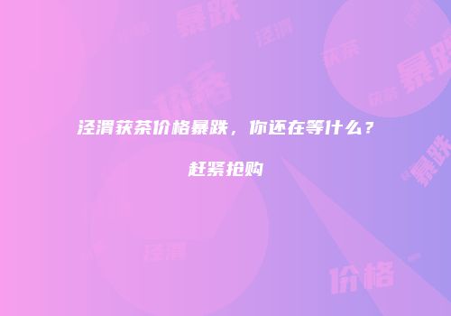 泾渭获茶价格暴跌，你还在等什么？赶紧抢购
