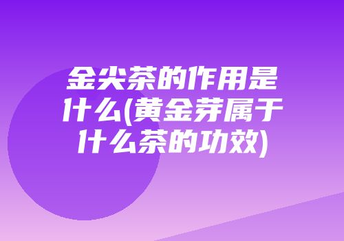 金尖茶的作用是什么(黄金芽属于什么茶的功效)