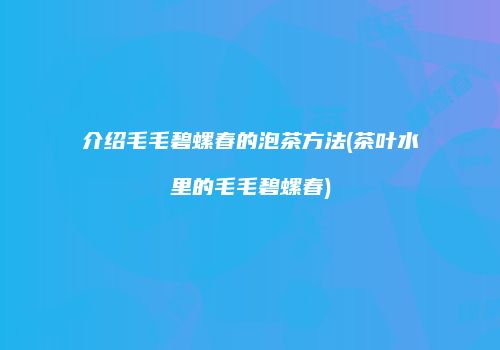 介绍毛毛碧螺春的泡茶方法(茶叶水里的毛毛碧螺春)