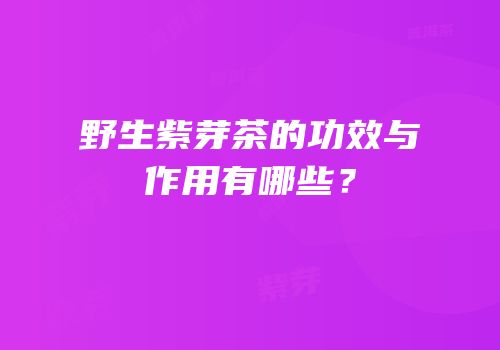 野生紫芽茶的功效与作用有哪些？