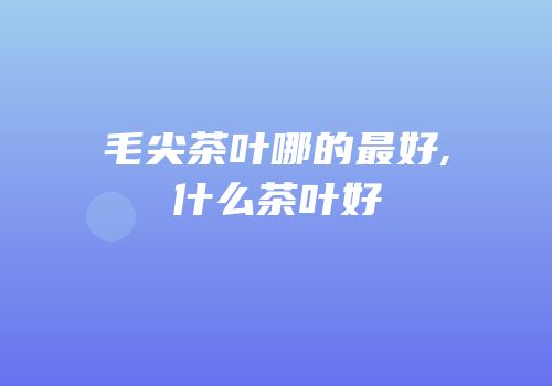 毛尖茶叶哪的最好,什么茶叶好