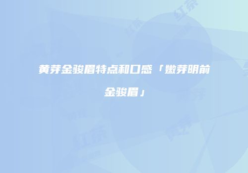 黄芽金骏眉特点和口感「嫩芽明前金骏眉」