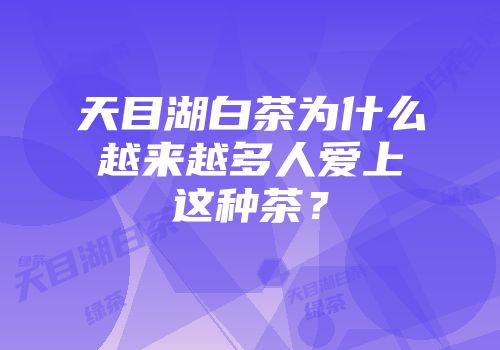 天目湖白茶为什么越来越多人爱上这种茶？