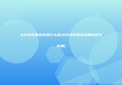 大红袍武夷岩茶是什么茶(大红袍武夷岩茶的功效与作用)
