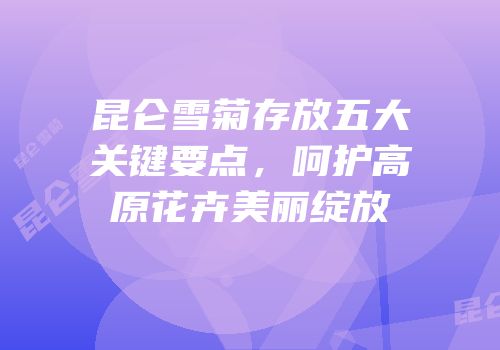昆仑雪菊存放五大关键要点，呵护高原花卉美丽绽放