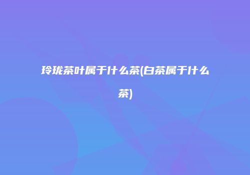 玲珑茶叶属于什么茶(白茶属于什么茶)