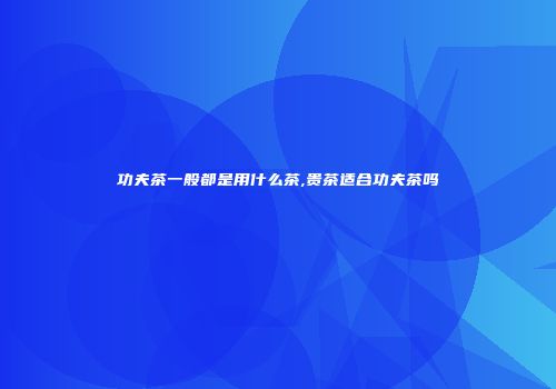 功夫茶一般都是用什么茶,贵茶适合功夫茶吗