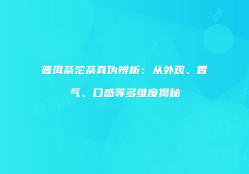 普洱茶沱茶真伪辨析：从外观、香气、口感等多维度揭秘