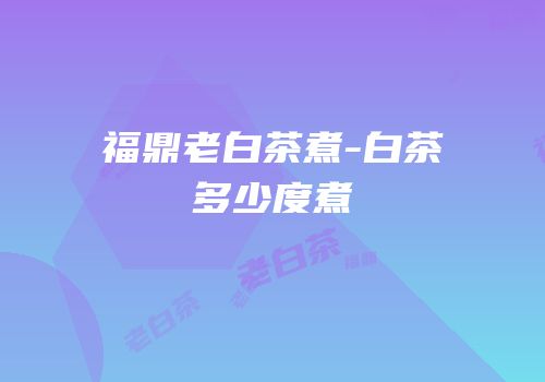 福鼎老白茶煮-白茶多少度煮