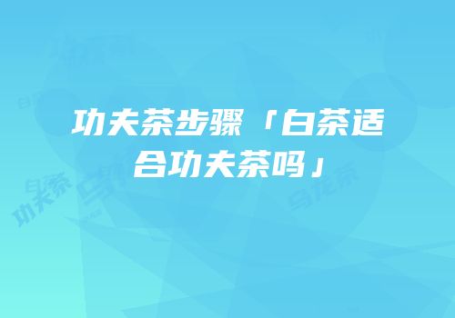功夫茶步骤「白茶适合功夫茶吗」