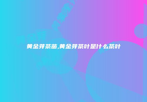黄金芽茶苗,黄金芽茶叶是什么茶叶