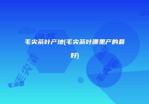 毛尖茶叶产地(毛尖茶叶哪里产的最好)