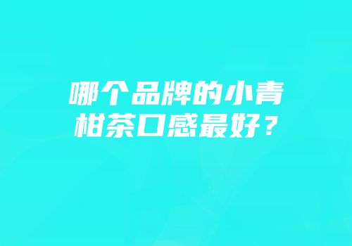 哪个品牌的小青柑茶口感最好？