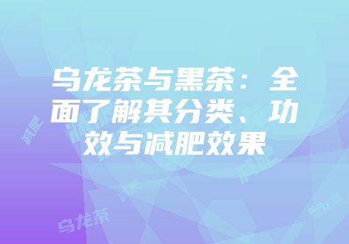 乌龙茶与黑茶：全面了解其分类、功效与减肥效果