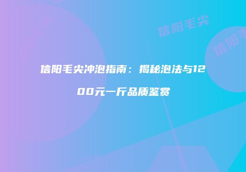 信阳毛尖冲泡指南：揭秘泡法与1200元一斤品质鉴赏