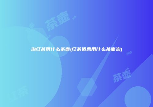 泡红茶用什么茶壶(红茶适合用什么茶壶泡)