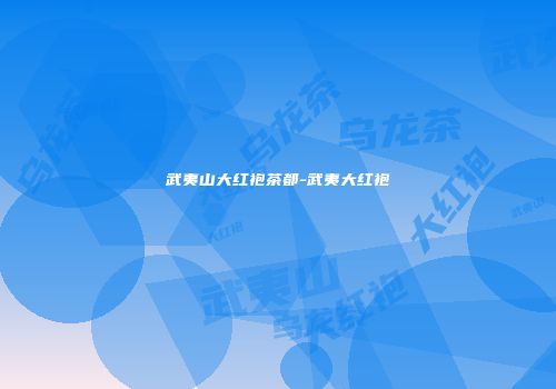 武夷山大红袍茶都-武夷大红袍