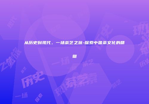 从历史到现代，一场茶艺之旅-探索中国茶文化的精髓