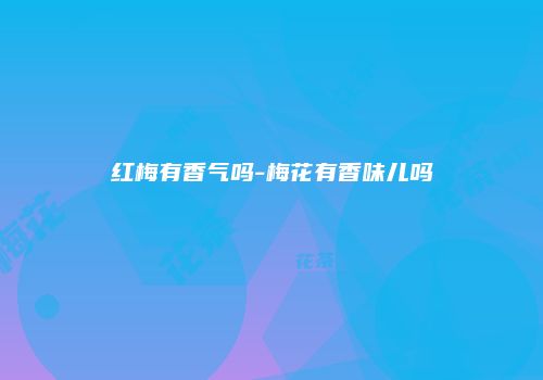 红梅有香气吗-梅花有香味儿吗