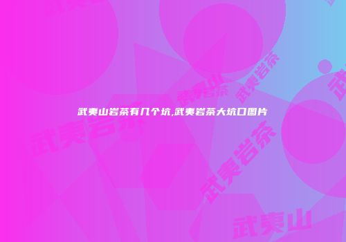 武夷山岩茶有几个坑,武夷岩茶大坑口图片