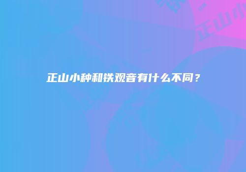 正山小种和铁观音有什么不同？