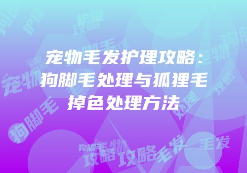 宠物毛发护理攻略：狗脚毛处理与狐狸毛掉色处理方法