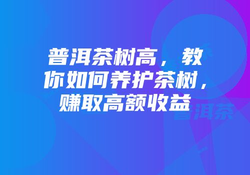 普洱茶树高，教你如何养护茶树，赚取高额收益