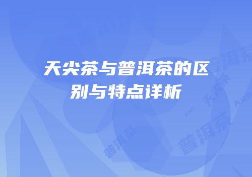 天尖茶与普洱茶的区别与特点详析