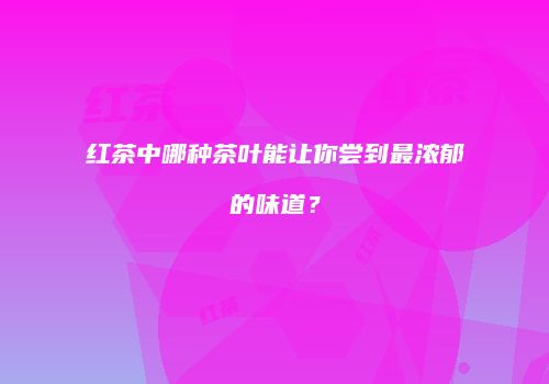 红茶中哪种茶叶能让你尝到最浓郁的味道？