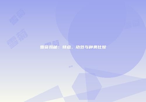 雪菊揭秘：特点、功效与种类比较