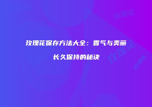 玫瑰花保存方法大全：香气与美丽长久保持的秘诀