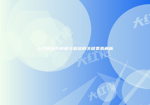 大红袍茶叶种植与栽培的关键要素解析