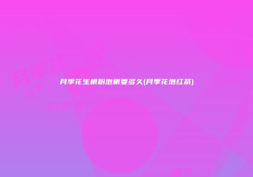 月季花生根粉泡根要多久(月季花泡红茶)