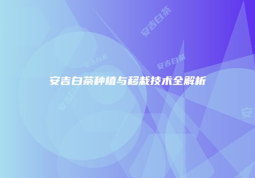 安吉白茶种植与移栽技术全解析