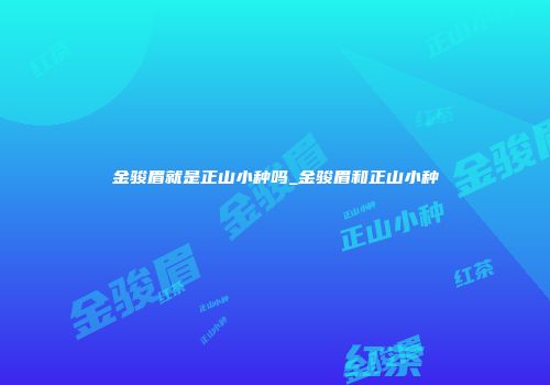 金骏眉就是正山小种吗_金骏眉和正山小种